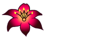 FireLily-Logo-WHITE-TEXT.png